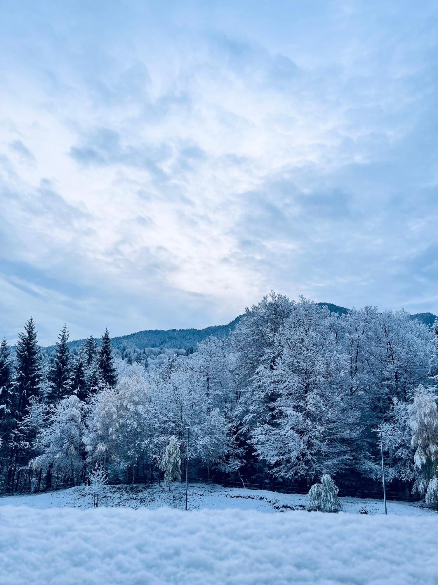 Mountain Nest In Silver Mountain Poiana Brasov Εξωτερικό φωτογραφία